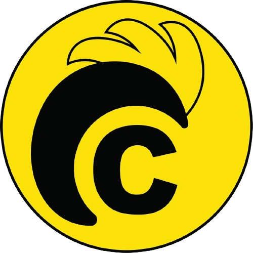 FB_IMG_1701860948795-removebg-preview (1)